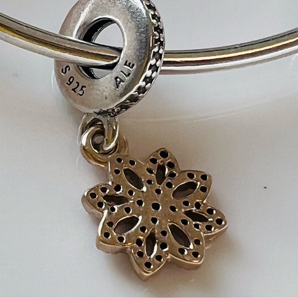 Exquisite Pandora 14K Gold & Sterling 2-Tone Lace Botanique Dangle Charm RARE - Picture 8 of 9